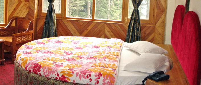 Manali Hotels Packages,Hotels In Manali,Mountain Top Hotel In Manali,Mountain Top Hotel,Mountain Top Hotel Packages
